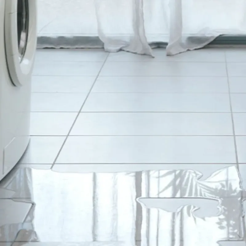 Appliance Leak Cleanup in Bryant, WA