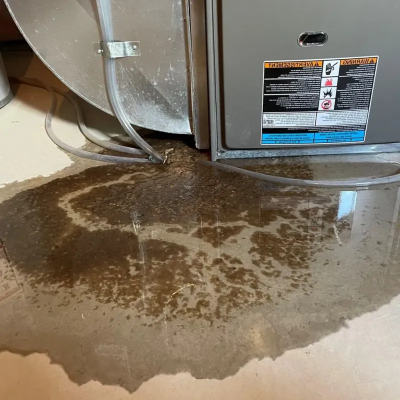 Pipe Burst and Leak Restoration in Bryant, WA