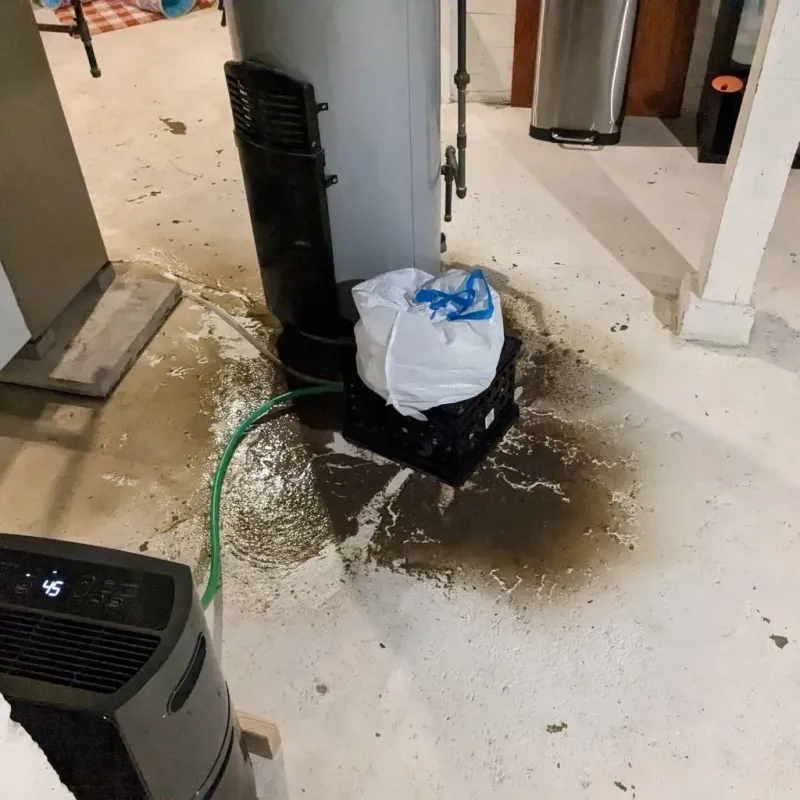 Sewage Backup Cleanup Service in Bryant, WA